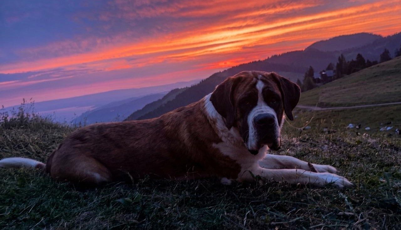 Anouck au coucher du soleil sur le Col de Jaman