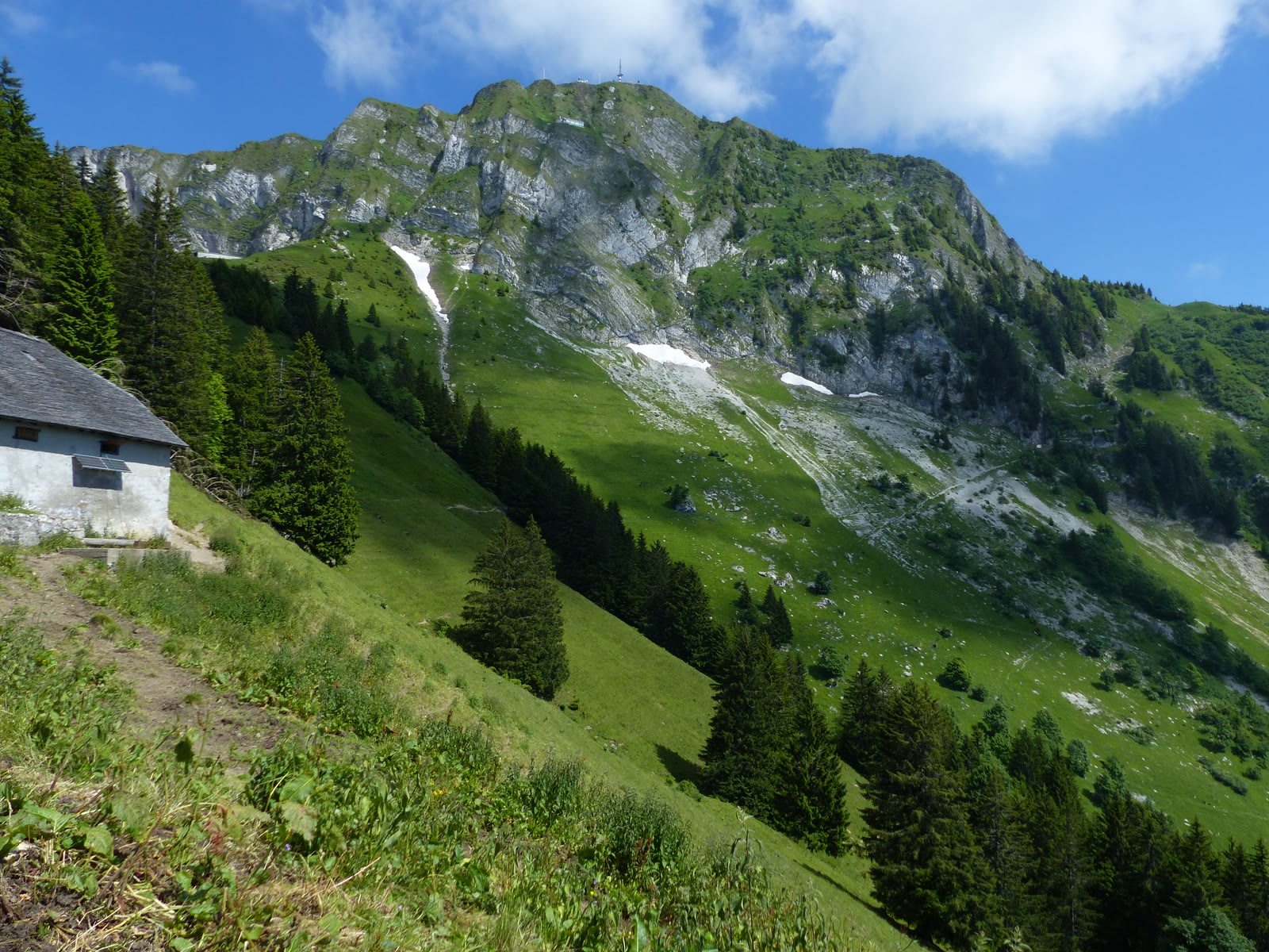 Sommet des Rochers de Naye vu depuis l'Alp Chamossale